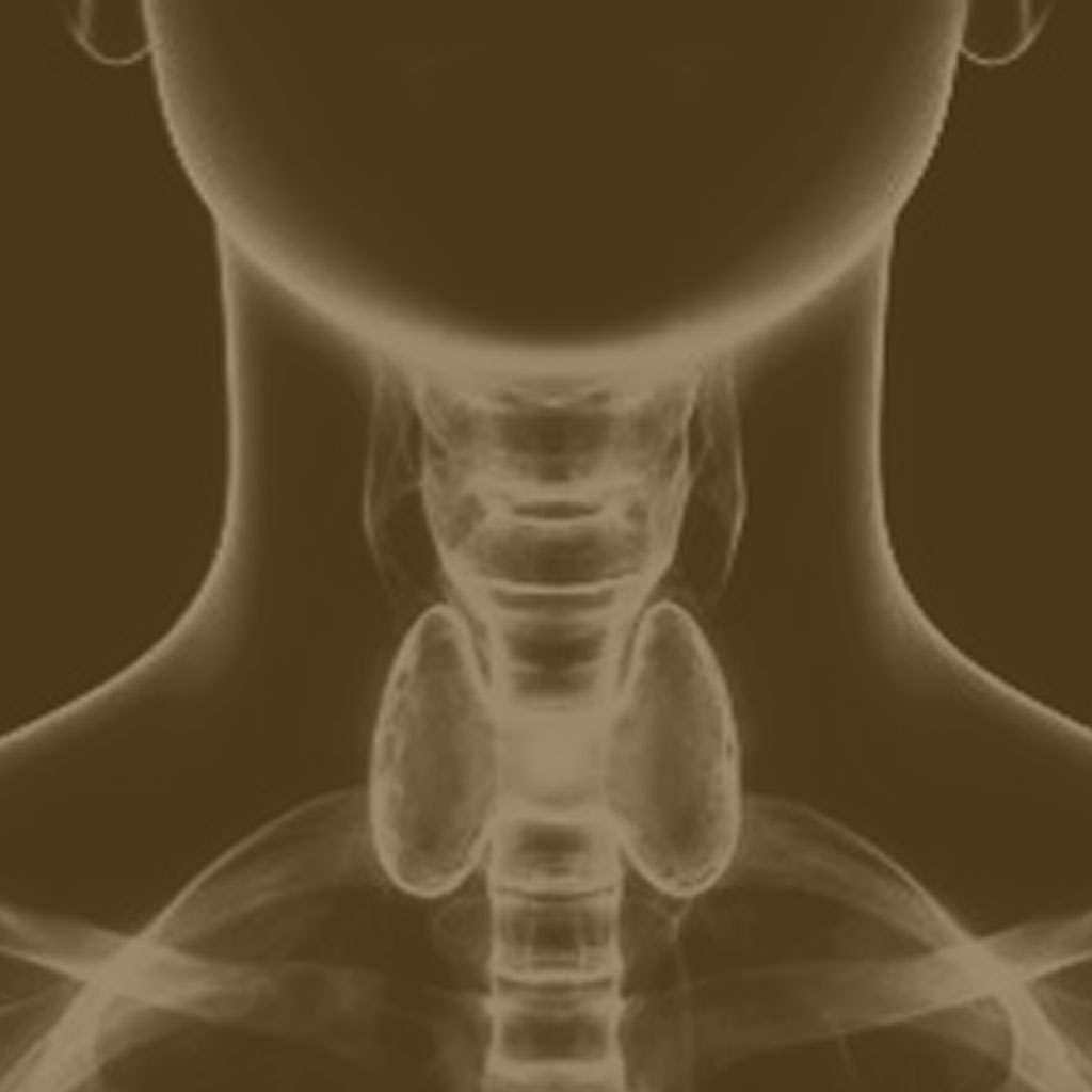 Thyroid